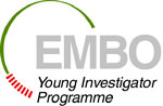 EMBO YIP